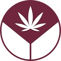 Ladykind logo